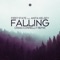 Falling (feat. Anita Kelsey) [Craig Connelly Remix] artwork