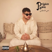 Project Pyano - Pyano ll