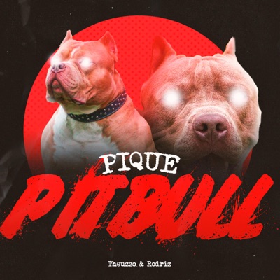 MEGA FUNK PIQUE PITBULL (feat. DJ Rodriz) - Single