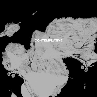 Contemplative - Single
