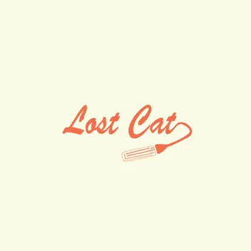 Lost Cat album cover