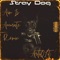 Stray Dog - Artiqlit lyrics