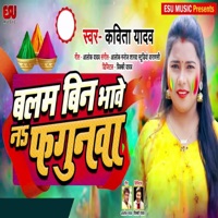 Balam Bin Bhawe Na Fagunwa - Single - Kavita Yadav