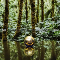 Fake Gold - Single - Daktyl