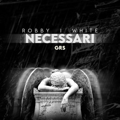 Necessari (feat. Whit3 & GRS) - Single