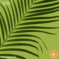 Palo Santo (Remix) - Single - Fer Soberón & Mister Tron