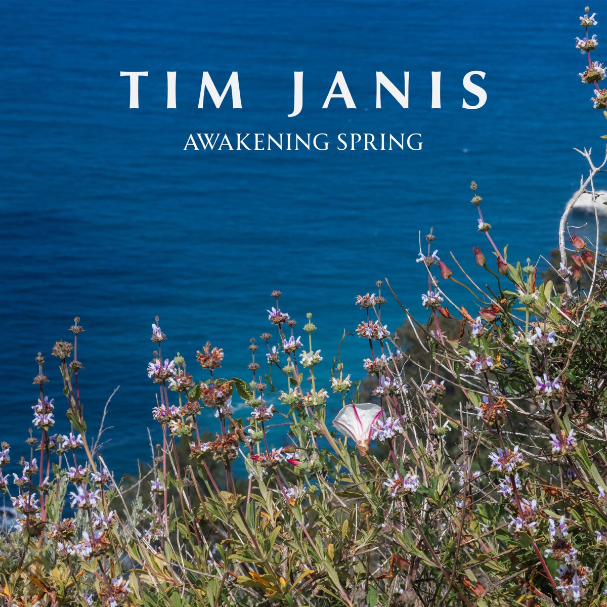 ‎Awakening Spring Album by Tim Janis Apple Music