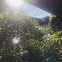 ✧ You & Me ✧ - Single - SWITCHBLADE SKRILLA