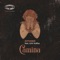 Camina (feat. Erik Truffaz) - Dj Toner lyrics