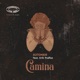 Camina feat Erik Truffaz Single
