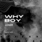 Why Boy (Radio Edit) artwork