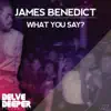 James Benedict - What You Say?
