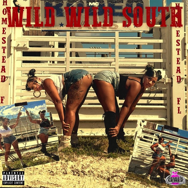 Wild Wild South