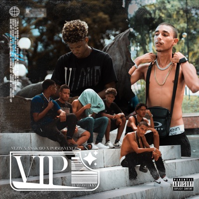 Vip (feat. Poison Venuz & yngkayo) - Single