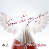 Peace Unto You (John 3: 16) [feat. Emmanuel Awipi & Rume] artwork
