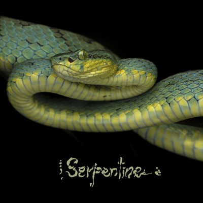 Serpentine - Single