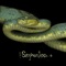 Serpentine artwork