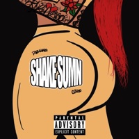 Shake Sumn (feat. Cliqvo) - Single - Dub4Eva100
