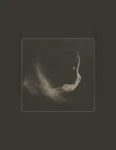 聆聽 Throw Away Your Books Rally In The Streets、觀看音樂影片、閱讀小傳、查看巡演日期等！