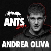 ANTS Live Summer 2022 artwork