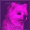 Bad Bitches - Single