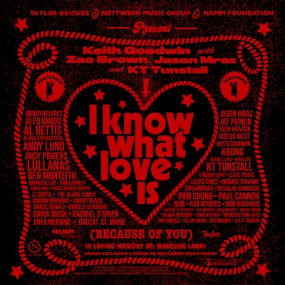 I Know What Love Is (Because of You) [feat. Aber Nevarez, Ai Fujimori, Al Bettis, Andy Lund, Andy Powers, Ben Monteith, Brian Colins, Chris Conley, Chris Hau, Christopher Cooper, CJ Smith, The Clark Family, Damian DeRobbio, Danny Black, Daniel Donato, Daria Musk, Gabriel O'Brien, Greg Mervine, Dauzat St. Marie, Jay Parkin, Josh Krajcik, Justus West, KBong, Kevin Lloyd, Kirki Chi, Lindsay Love, Lizzie Peirce, Lloyd Vines, Masaki Toraiwa, Nicholas Veinoglou, Pam Chung, Paul Cannon, RAM, Rob Devious, Rob Machado, Hazard To Ya Booty, Sae Banjoya, Sara Niemietz, Simone Parkin, Solana DeRobbio, Tawn Nguyen, Thunderstorm Artis, Tim Arnold, Tolan Shaw, LULLANAS & Lola Parkin] - Single