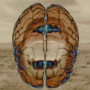 Onmymind! - Single