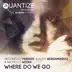 Where Do We Go (feat. Michelle Weeks) [F & B Meltemi Sole Mix] song reviews