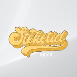 Steketid 2022 Voldtechno