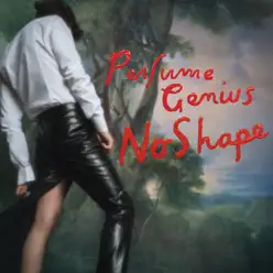 No Shape - Perfume Genius