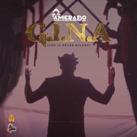 G.I.N.A - Amerado