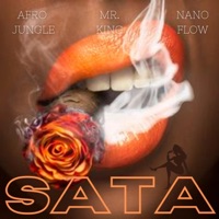 SATA (feat. Nano Flow & Mr King) - Single - Afro Jungle
