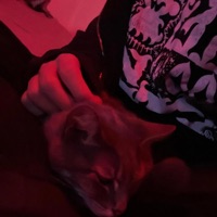 iCarly - Single - MERLOT