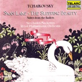 Swan Lake Suite, Op. 20a, TH 219, Act I: No. 2, Waltz artwork