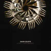Some Feelings Never Fade — David Celeste