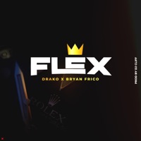 Flex (feat. Bryan Frico) - Single - Drako