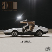 Sentido - Single - Introverted Funk