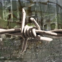 Docutrax, Vol. 5: Aftermath of War - The Bulgarian Film Orchestra & Gregor F. Narholz