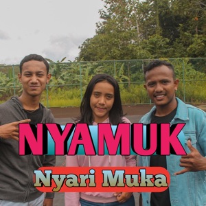 Nyamuk ( Nyari Muka )