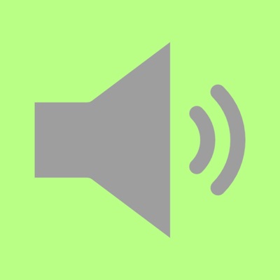 Audio Original - Pronk