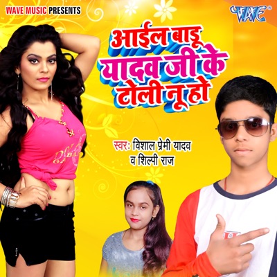 Aail Badu Yadav Ji Ke Toli Nu Ho - Single