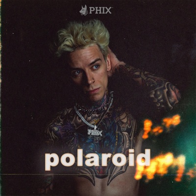Polaroid - Single