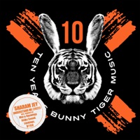 Understand Me (Evokings Remix) - Single - Sharam Jey & Evokings