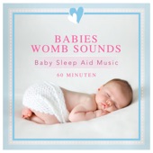Baby Sleep Aid Music artwork