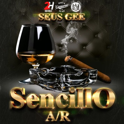 Simpre Voy Sencillo - Single