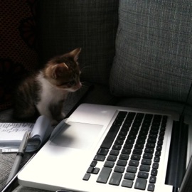 Toy Instrument Jam Shake Onigiri