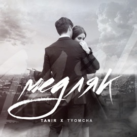 Медляк Tanir & Tyomcha