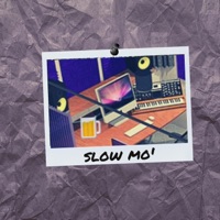 Slow Mo' - Single - val vicious