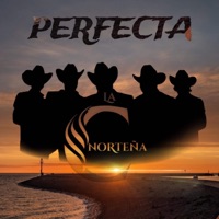 Perfecta - Single - La C Norteña