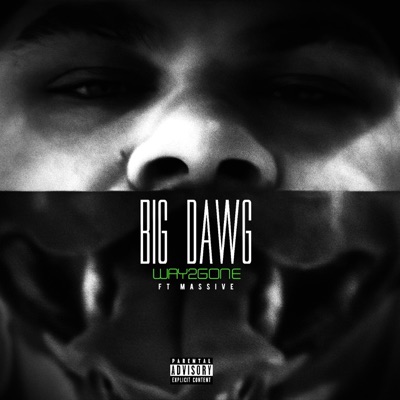 Big Dawg - Single